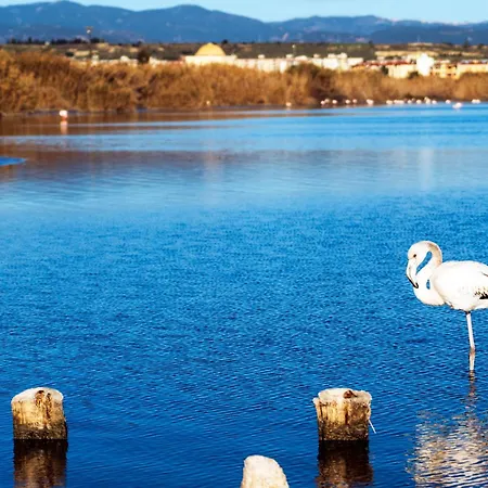 Appartement Patty's House *