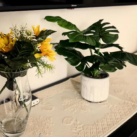 Patty's House * Quartu SantʼElena